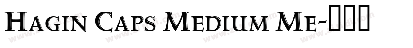 Hagin Caps Medium Me字体转换
